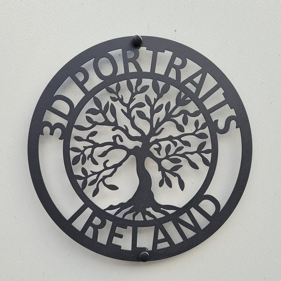 3D Portraits Ireland